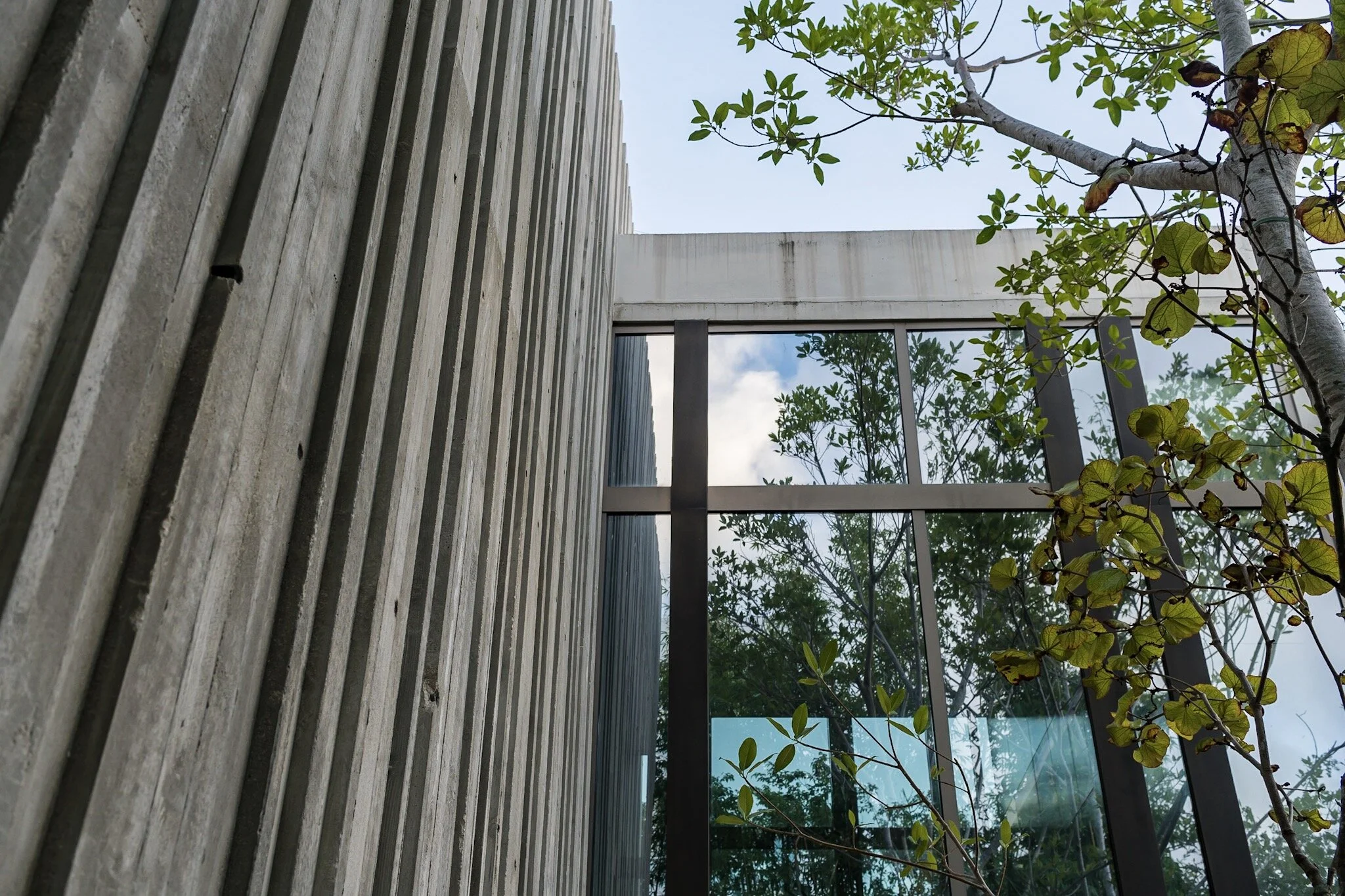 ReneGonzalesArchitect_Prairie___MichaelStavaridis-2786.jpg