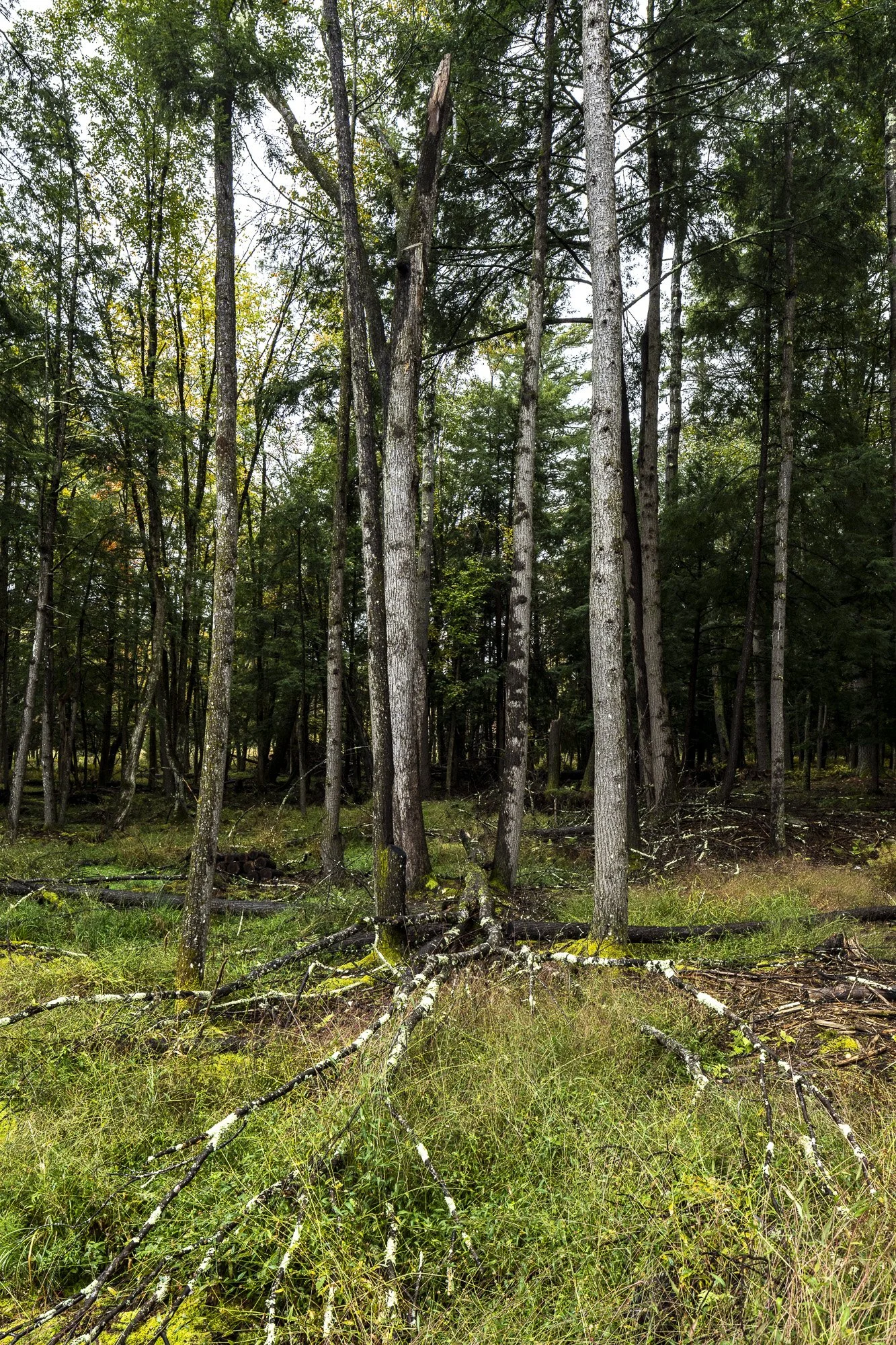 CooperCarry_Eldred-0128_2048px.jpg