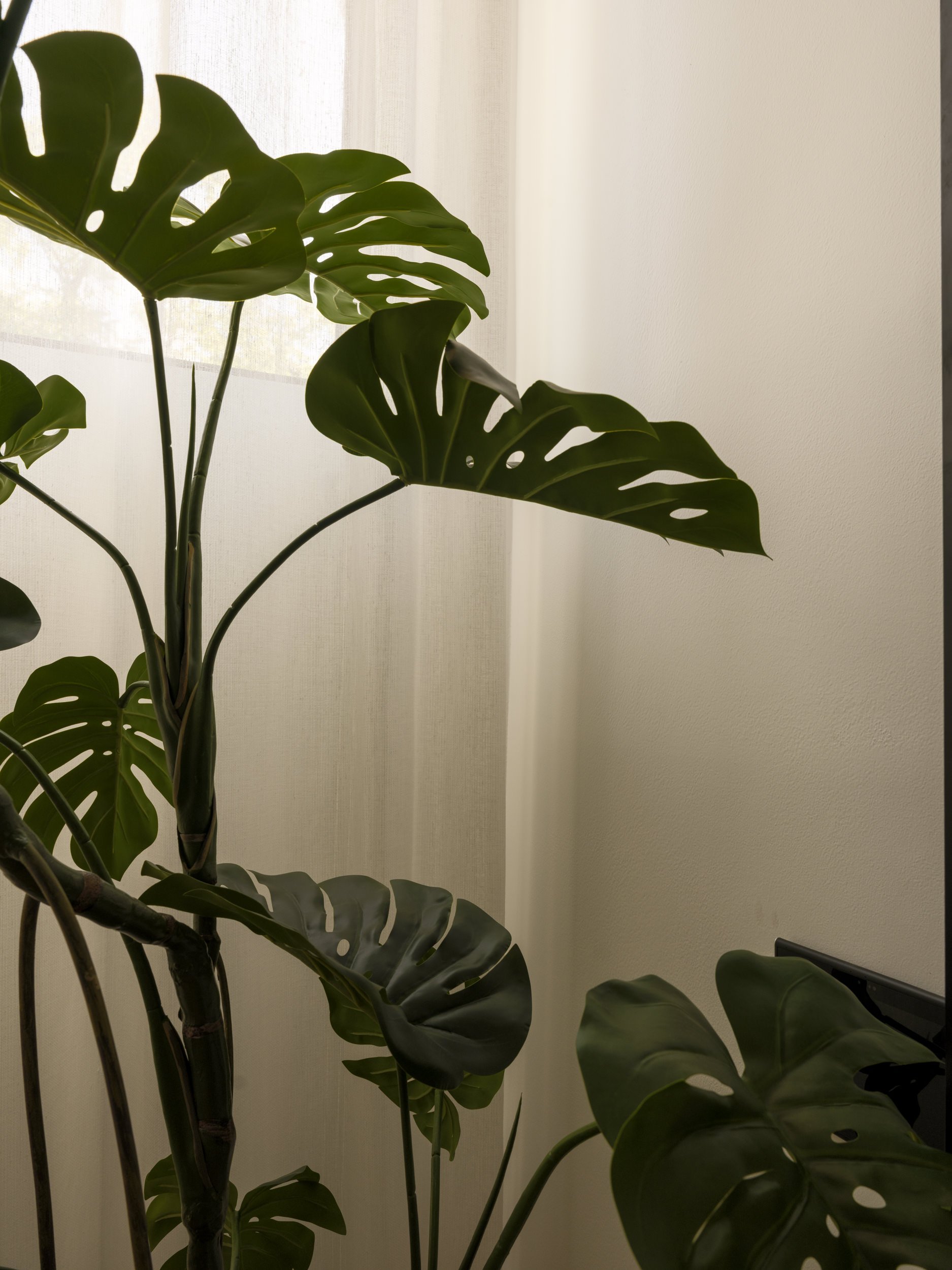 Cooper_Moderna-5240.jpg