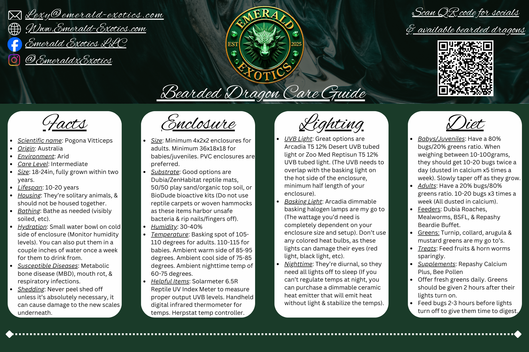 Bearded Dragon Care Guide