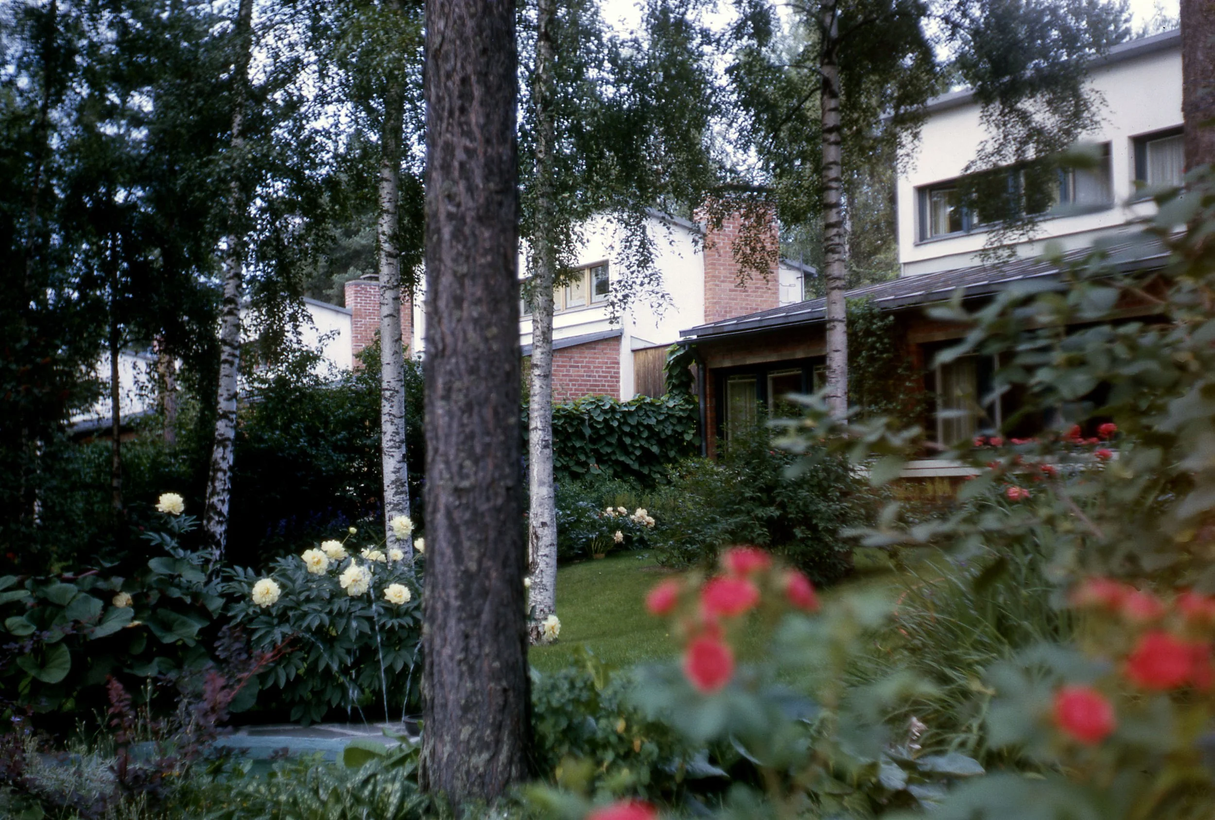 Housing, Tapiola, Finland (Aulis Blomstedt, 1954) Photo: Robin Boyd, 1964 Housing 