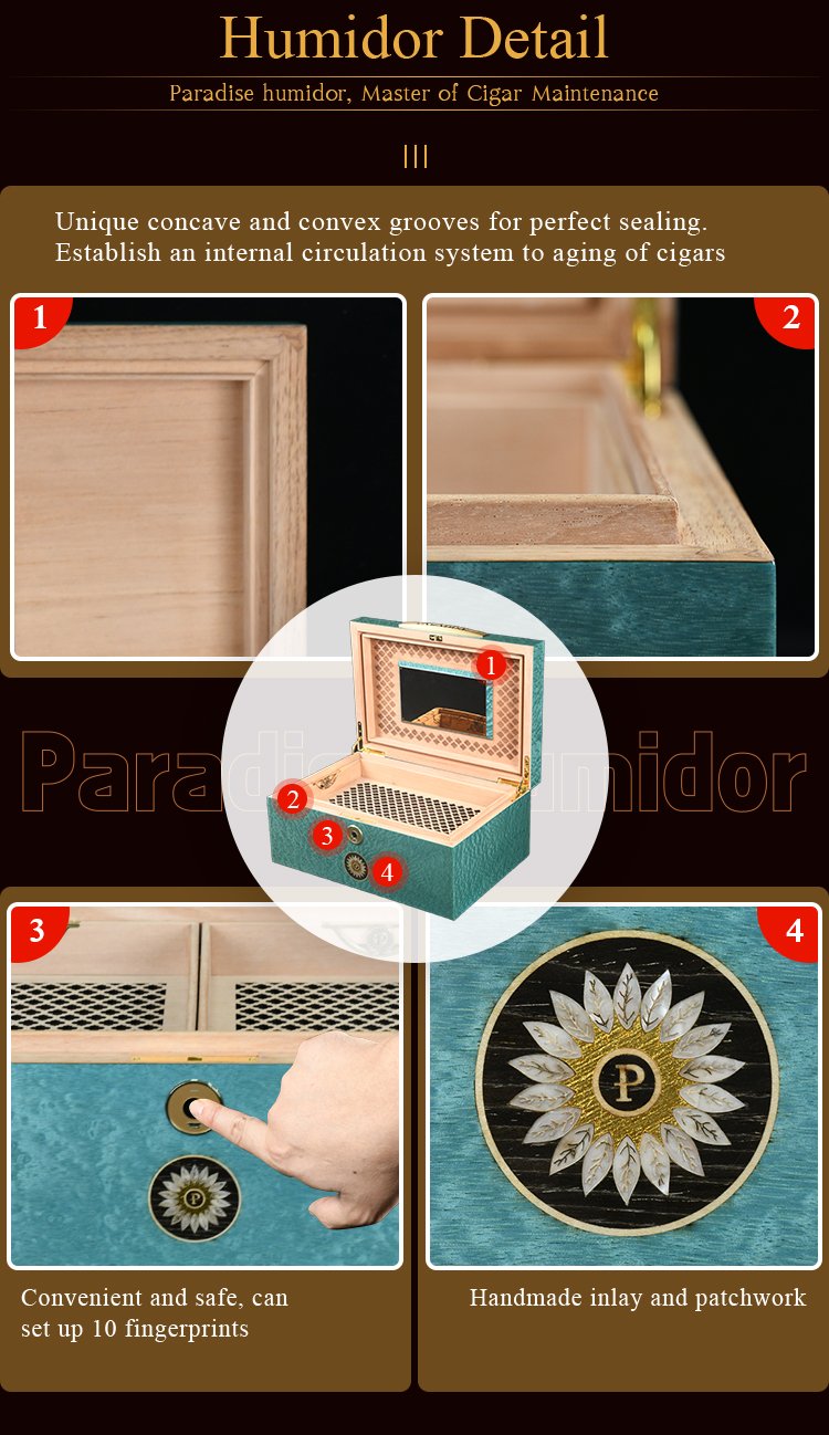 PH Blue Small 04.jpg