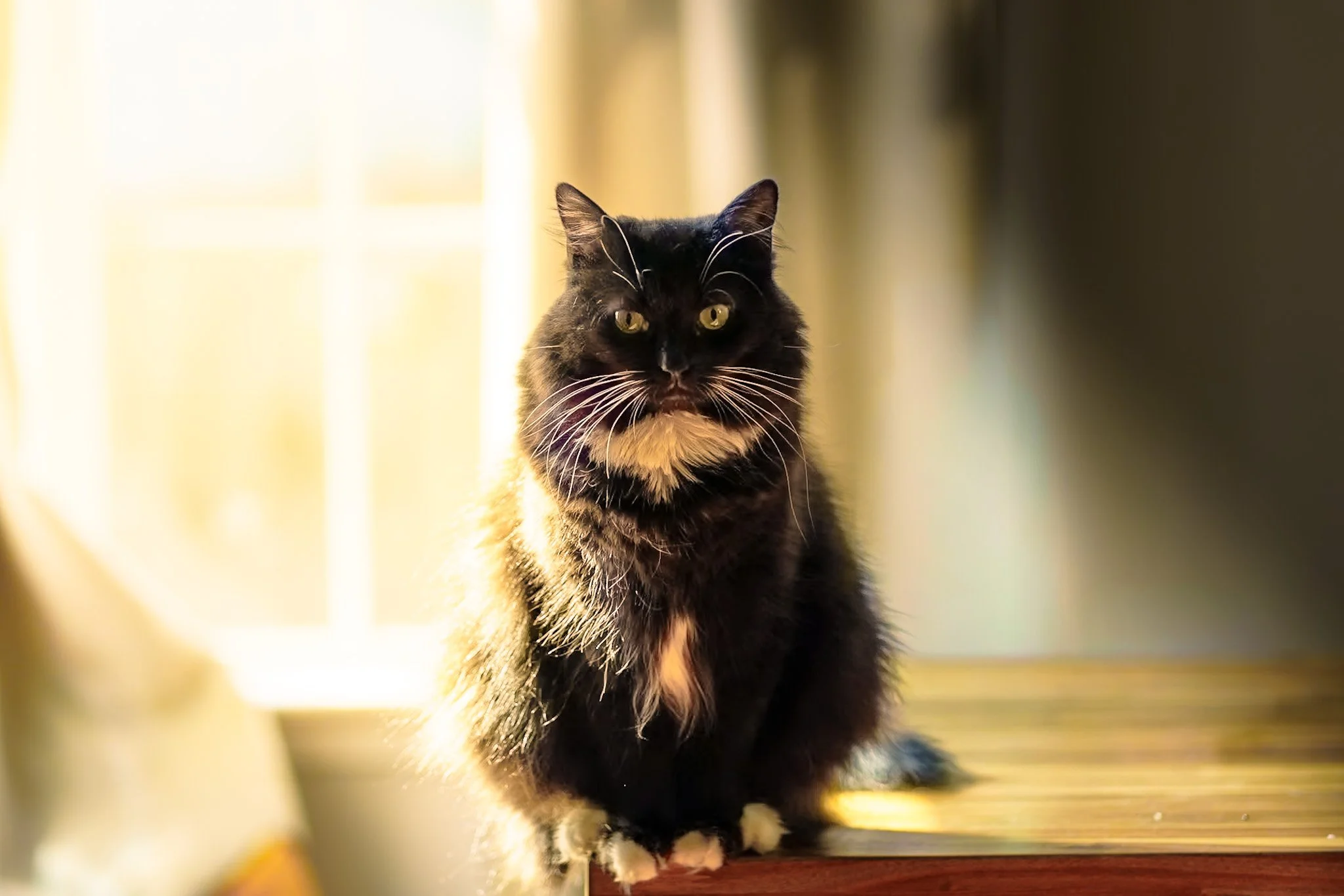 Floof