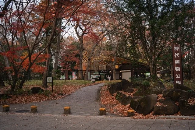 関東の植物園おすすめ一覧｜東京・神奈川・千葉・埼玉・茨城・栃木・群馬の植物スポットを紹介