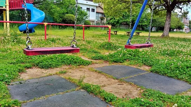 雑草でわかる庭の土壌環境｜乾燥・湿気・硬い土に生えやすい草を解説