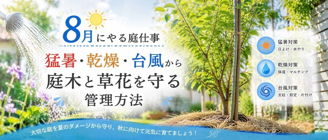 8月のガーデニング作業｜暑さで弱る植物を守る庭仕事