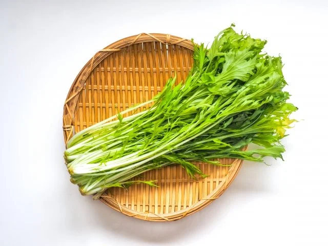 ミズナ（水菜）の育て方｜種まきから間引き・収穫まで、プランター栽培のコツ