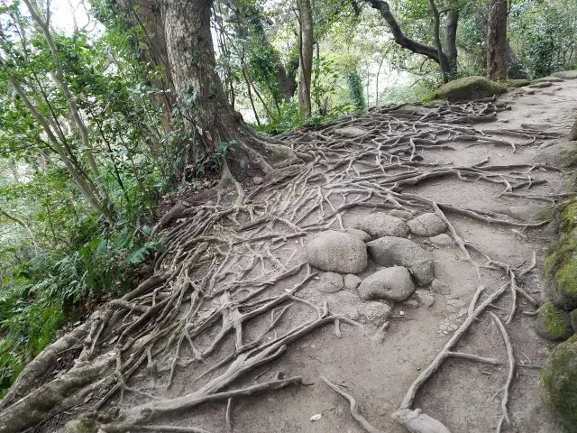 根切り