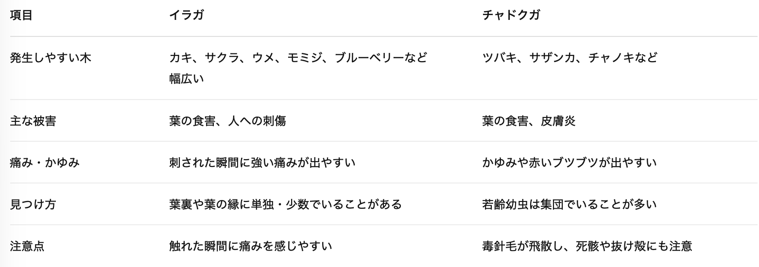 イラガとチャドクガ比較表