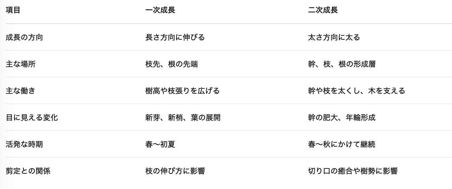 成長比較