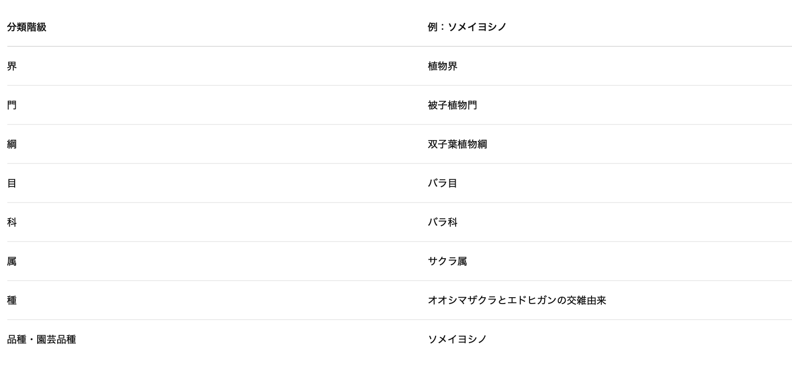 ソメイヨシノ