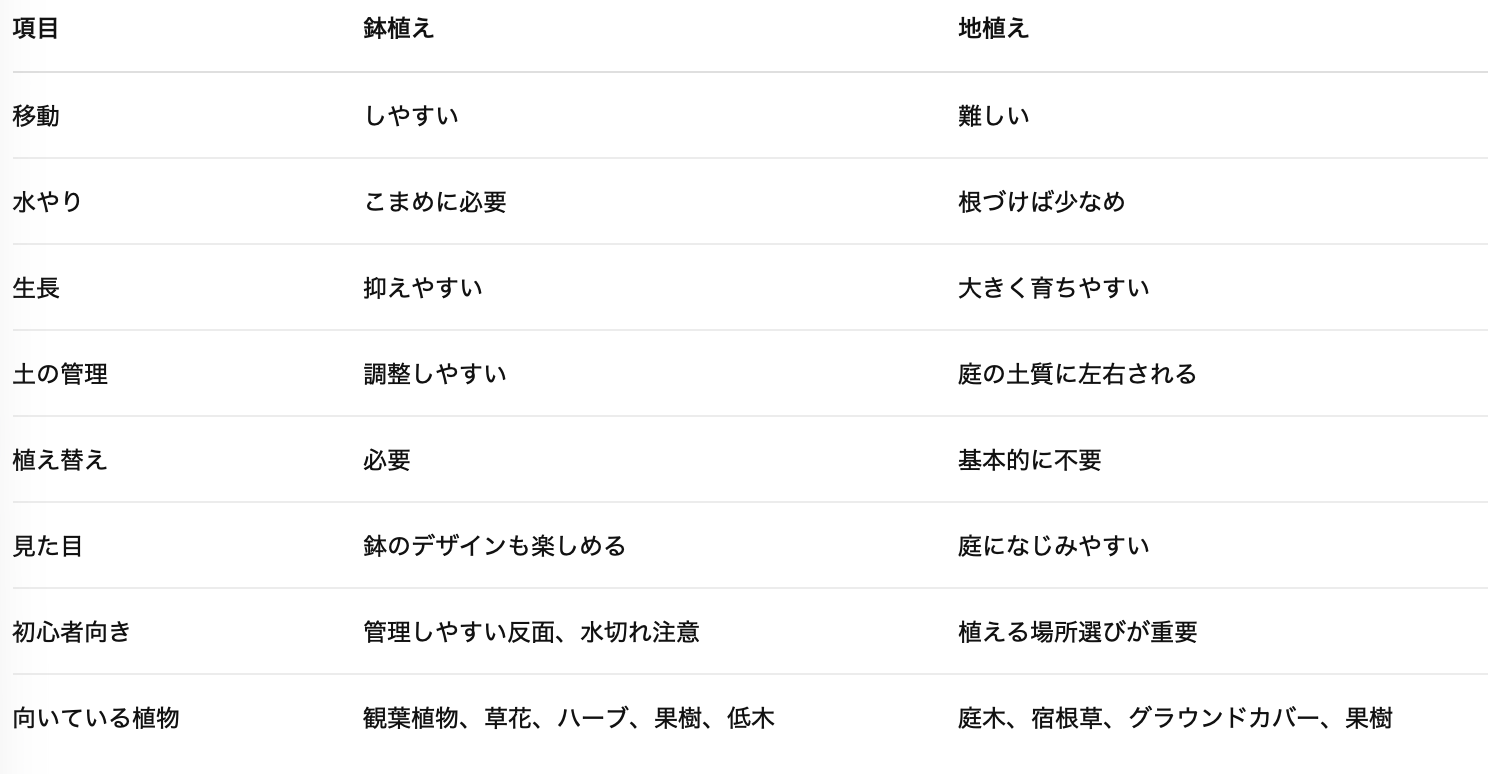 鉢植え地植え比較