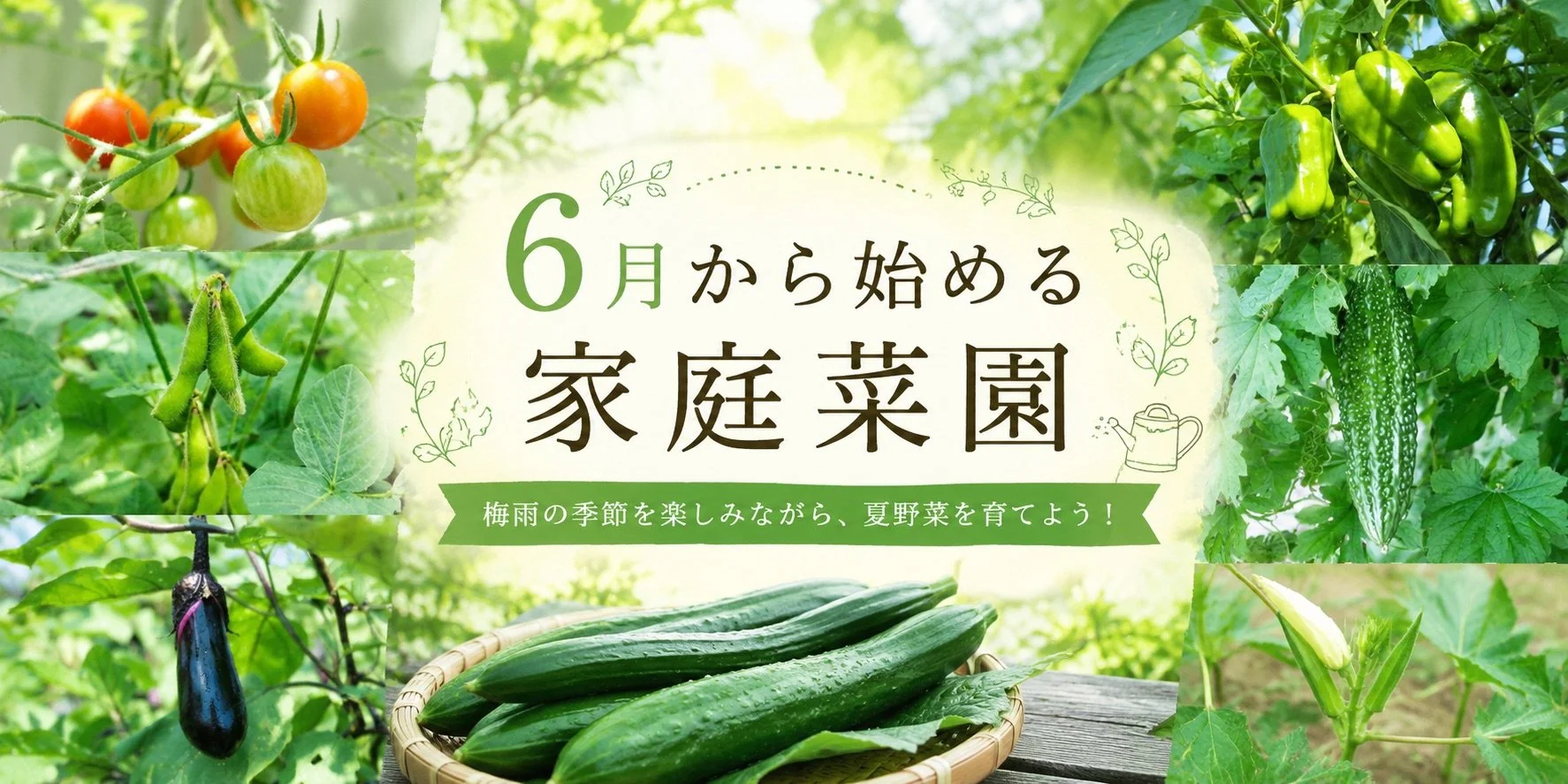 6月から始める家庭菜園