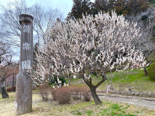 偕楽園