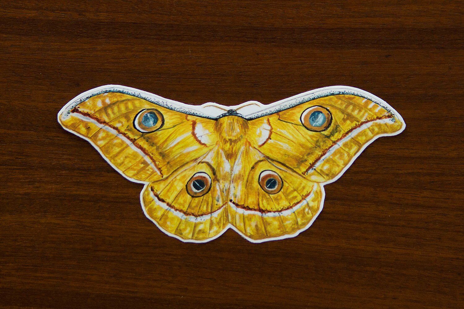 https://i.etsystatic.com/11154826/r/il/436863/1908807427/il_fullxfull.1908807427_345r.jpg