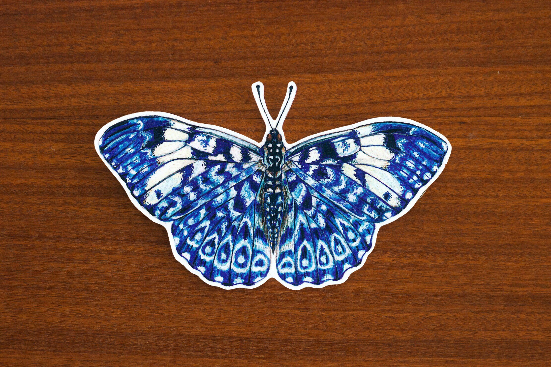 https://i.etsystatic.com/11154826/r/il/83457b/2419772718/il_fullxfull.2419772718_5c1t.jpg