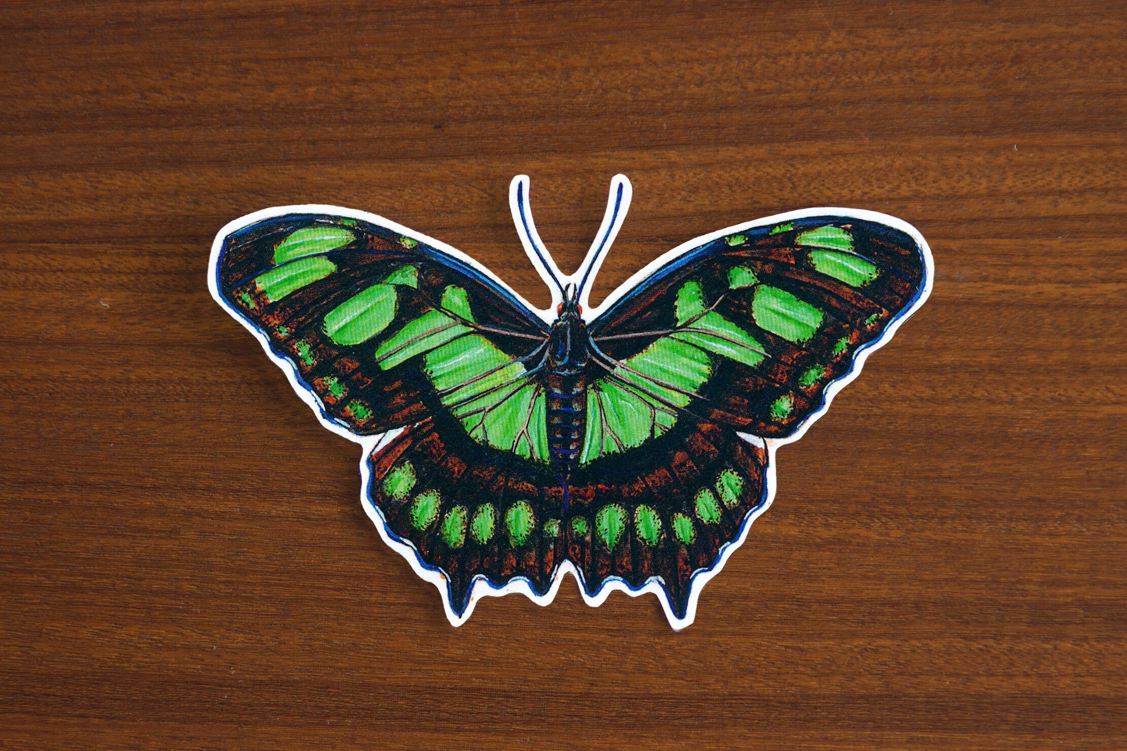 https://i.etsystatic.com/11154826/r/il/8c7ef3/2419772762/il_fullxfull.2419772762_qbsn.jpg