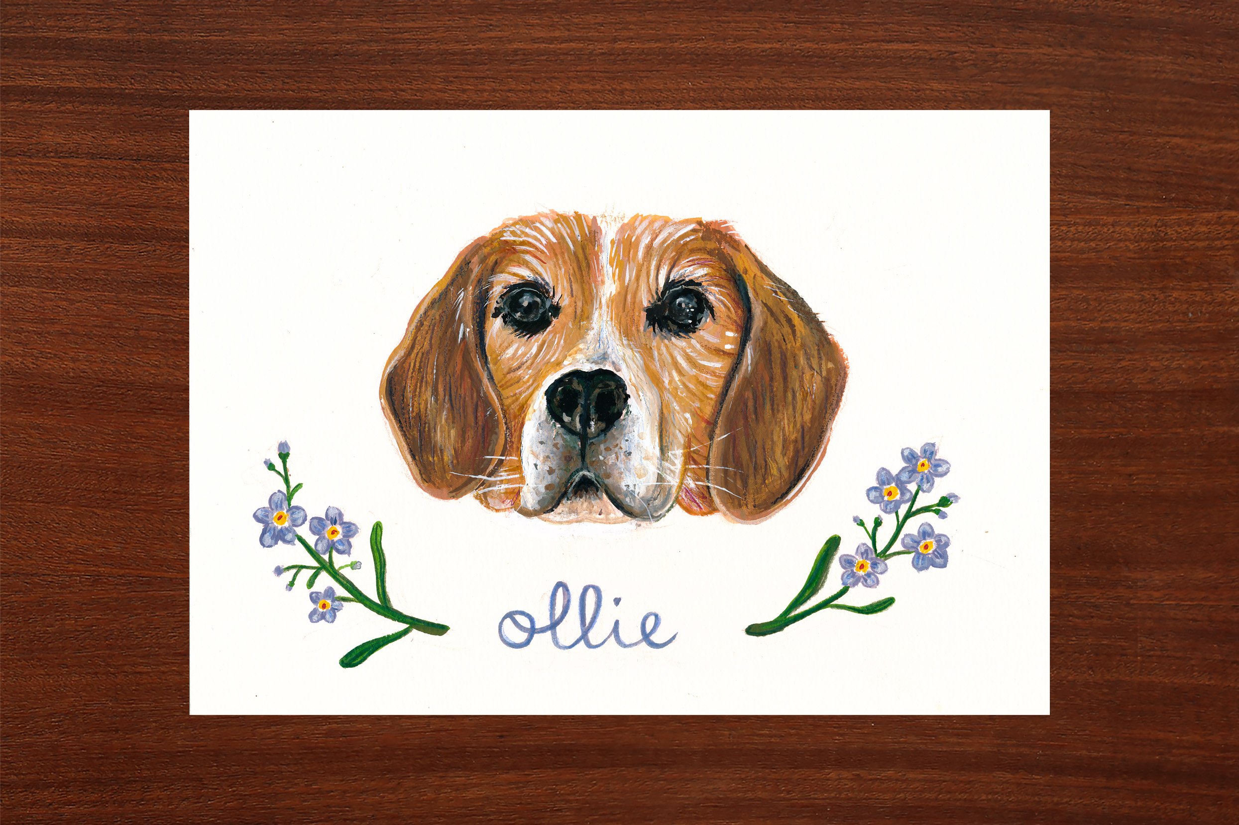 pet portrait 3.jpg