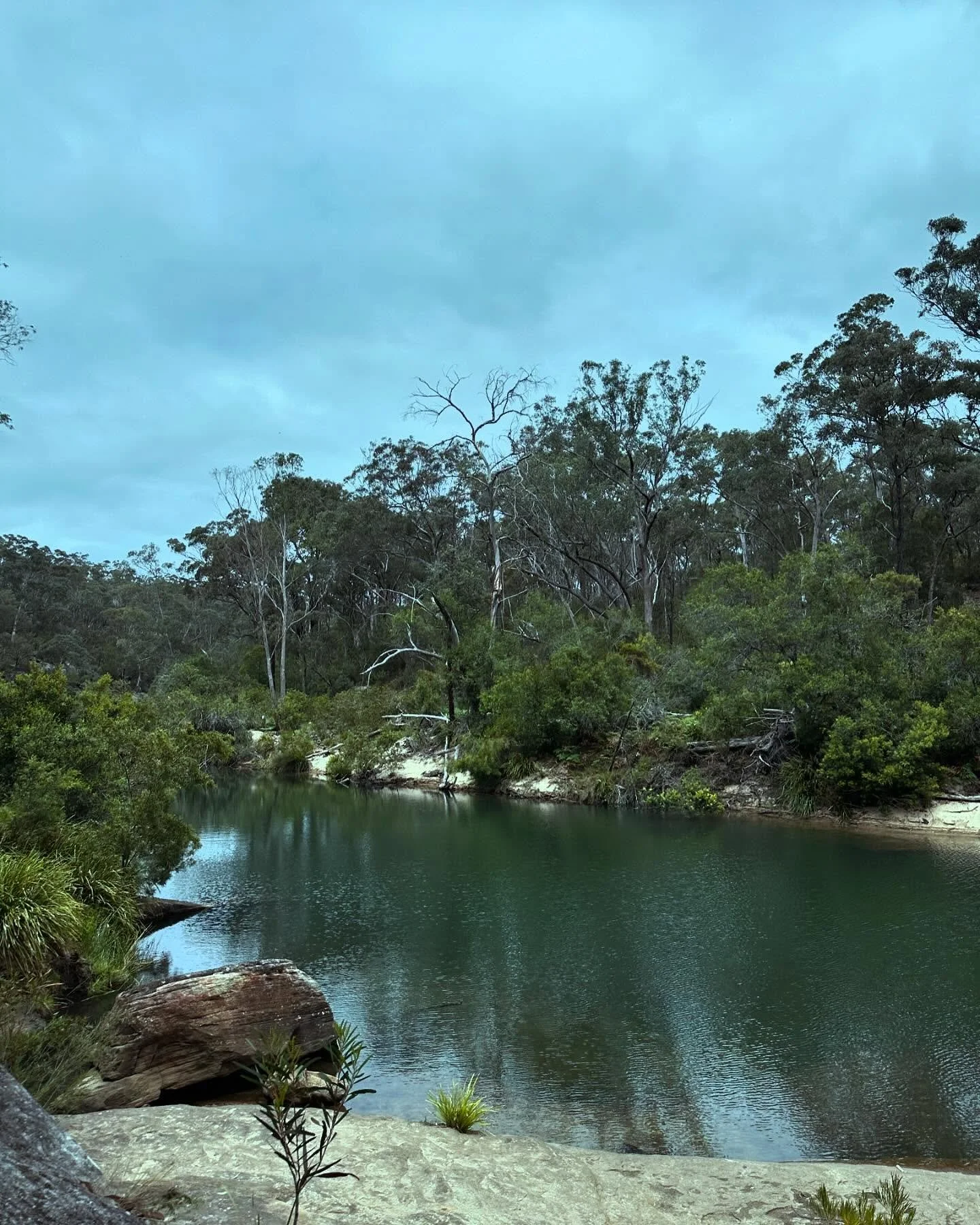 🌿🦋 drop in 🦋🌿

As per usual, prior to any transformation there is always a little chaos and destruction. It serves as a catalyst to ensure you&rsquo;re continuing on your true path of alignment. I really didn&rsquo;t think I&rsquo;d have more tra