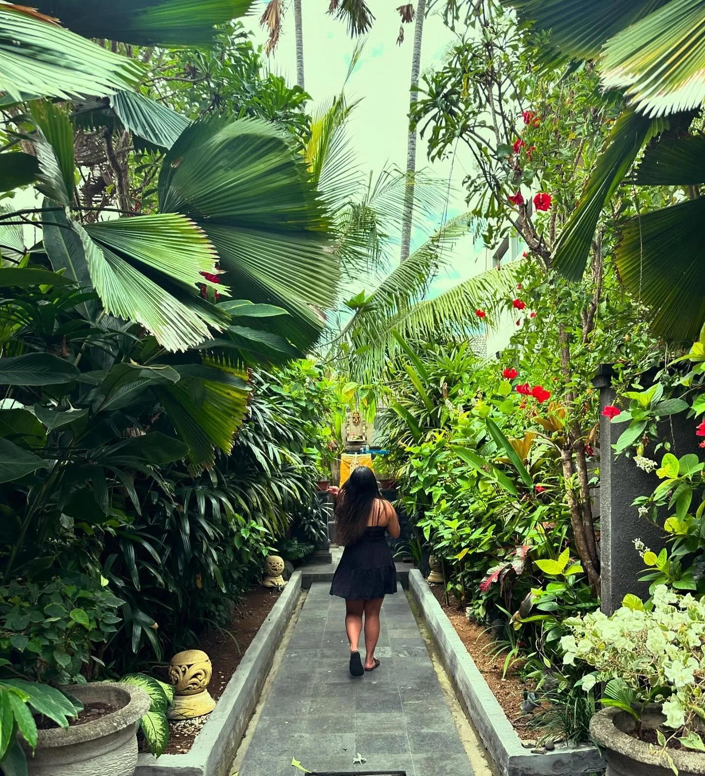 journal entry: wednesday, 28th august 2024

my trip to indonesia was nothing short of beautiful. 
i honestly can&rsquo;t fault any of it.
i&rsquo;m reminded that the lands and the people who care and connect with it are so sacred and generous.
humble