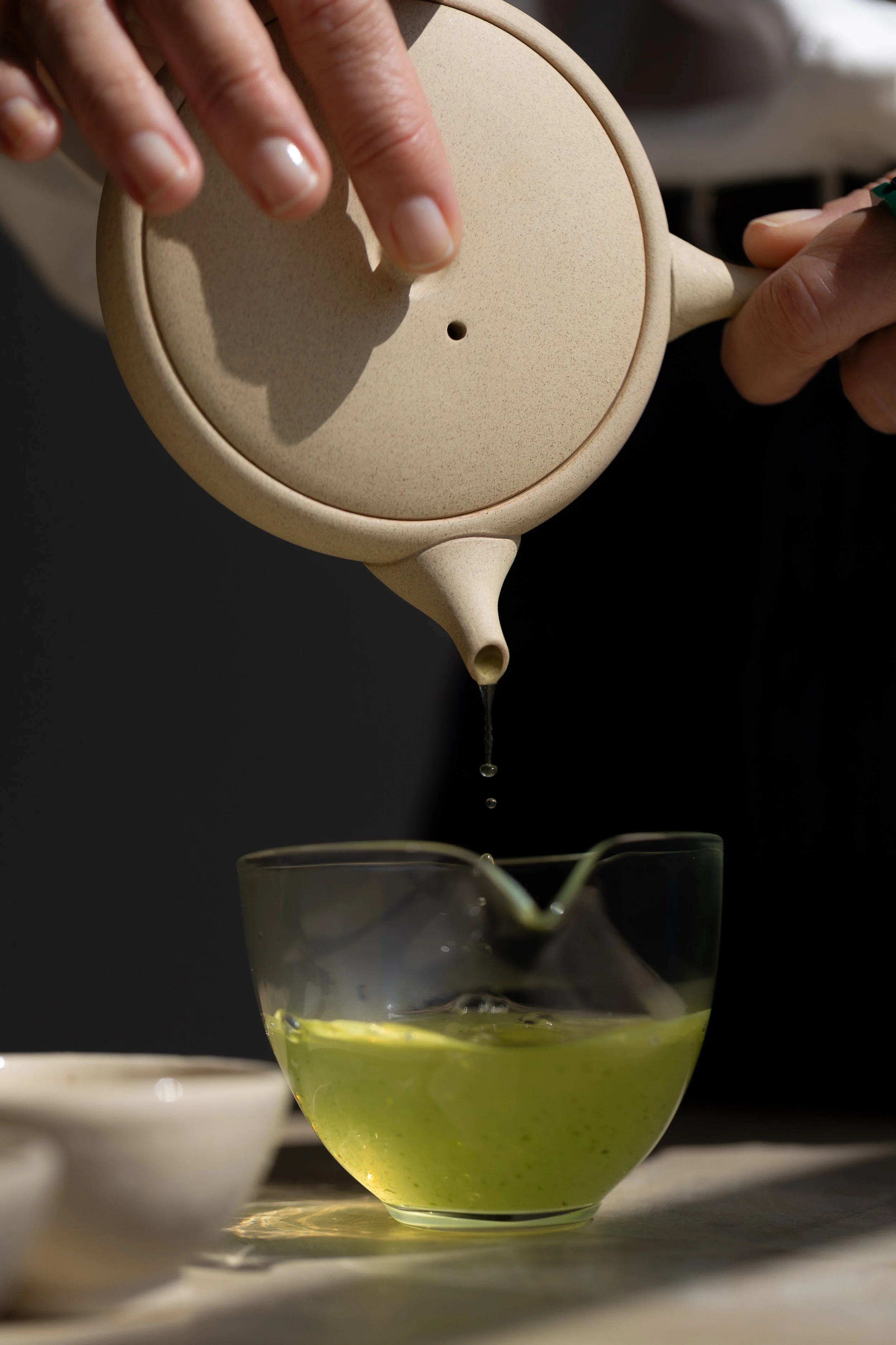 MILANO TEA WEEK 2026: IL MONDO DEL TÈ GIAPPONESE