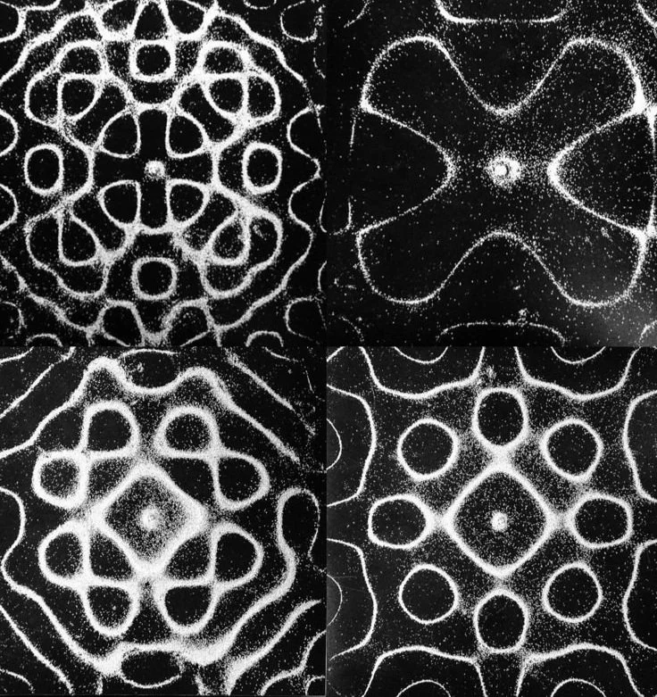 Four black and white images of intricate, symmetrical, abstract patterns resembling spirograph or fractal designs.