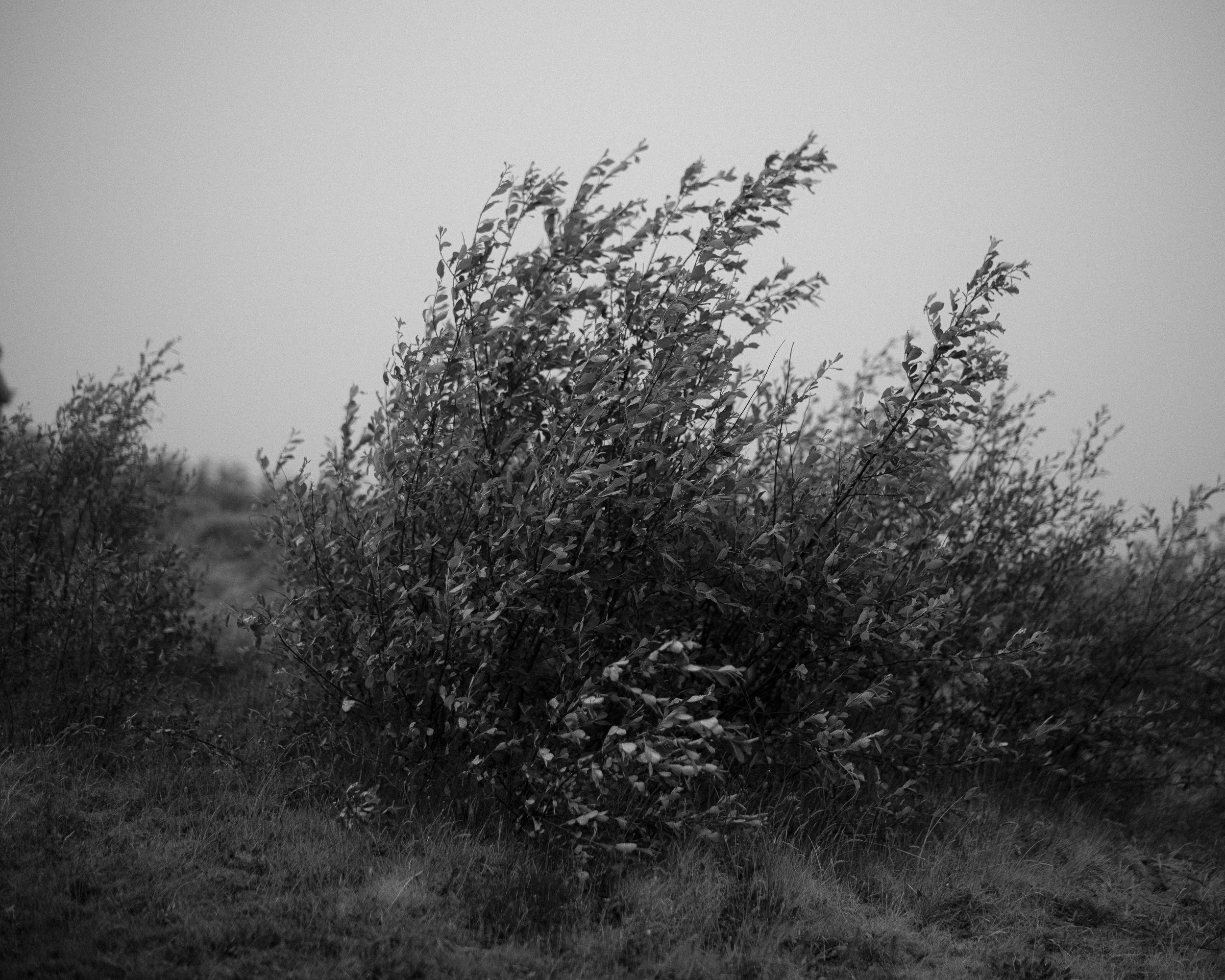 DSCF0755.jpg