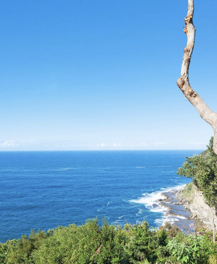 Scenic view of the ocean with a rocky shoreline, green vegetation, and a leafless tree branch on the right side under a clear blue sky.