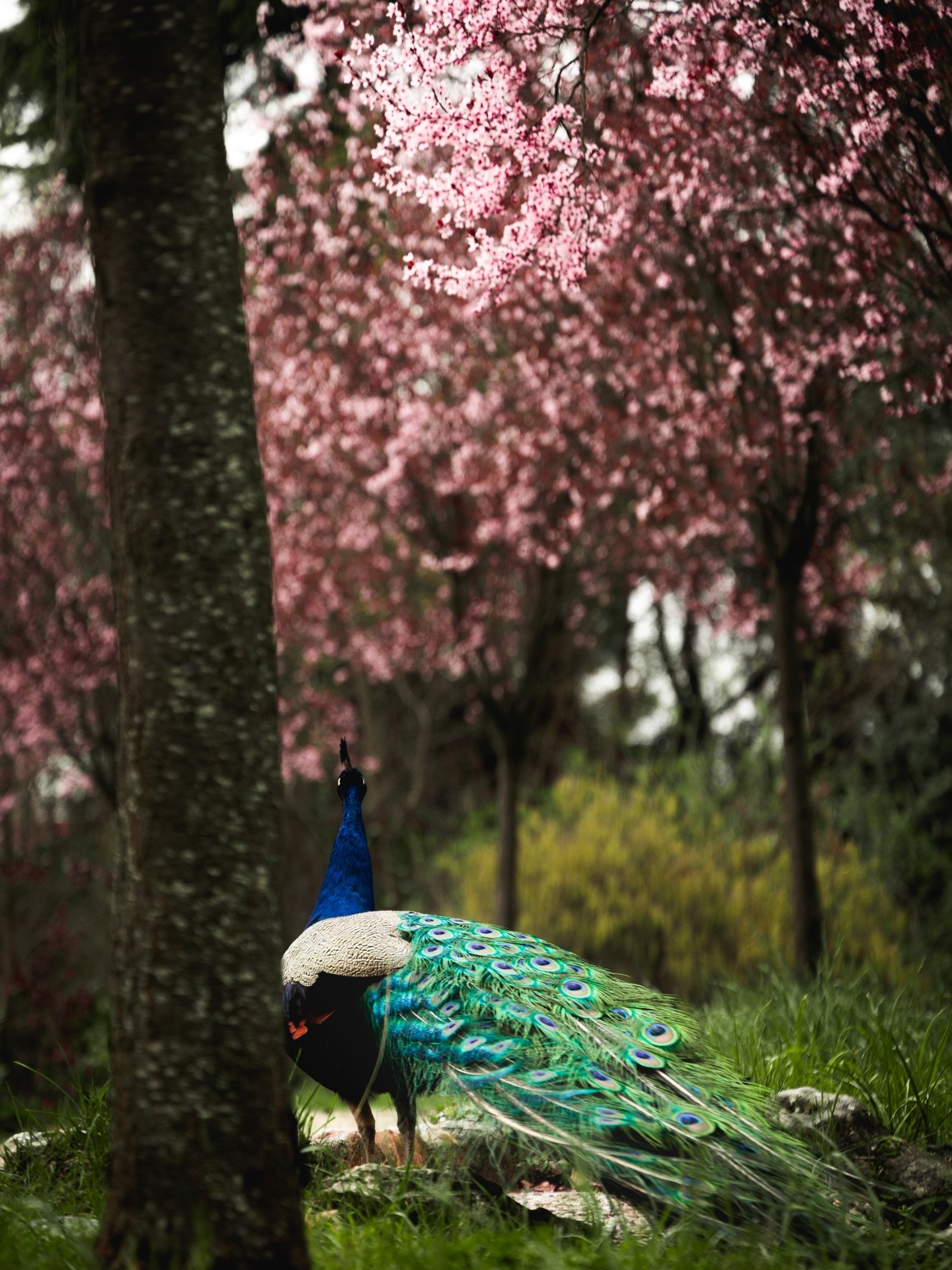 Madryt potrafi być piękny.

Jak się spojrzy z bardzo bliska albo z bardzo daleka, to Madryt naprawdę zachwyca. Patrząc tak &ldquo;normalnie&rdquo; to już mniej. To miasto, kt&oacute;re odwiedziliśmy w ramach celu @nothing.original jakim jest odwiedze