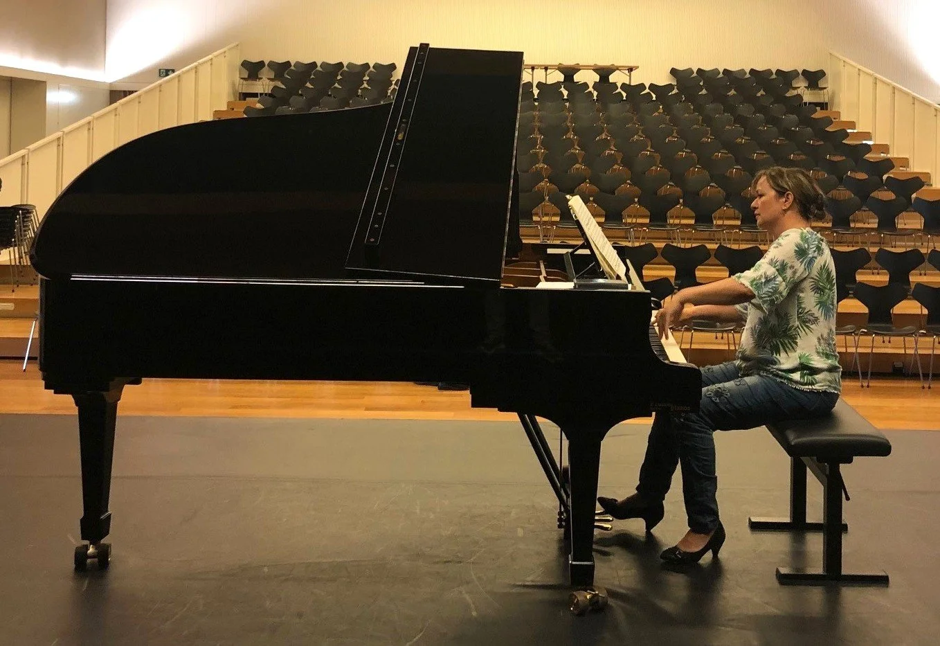 Nouchine piano.1.jpg
