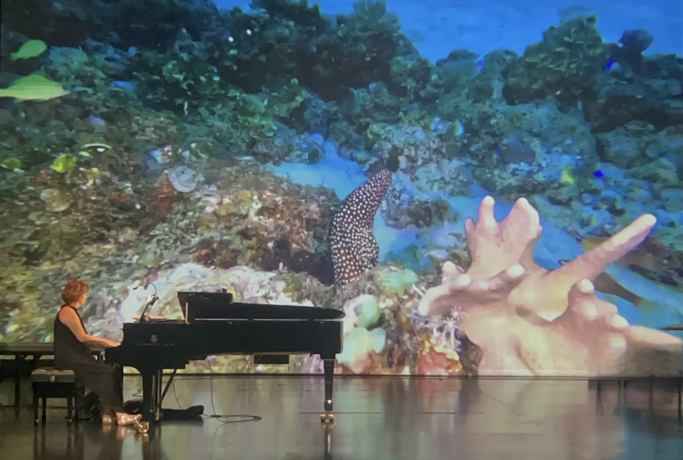 Nouchine piano fonds marin.jpeg
