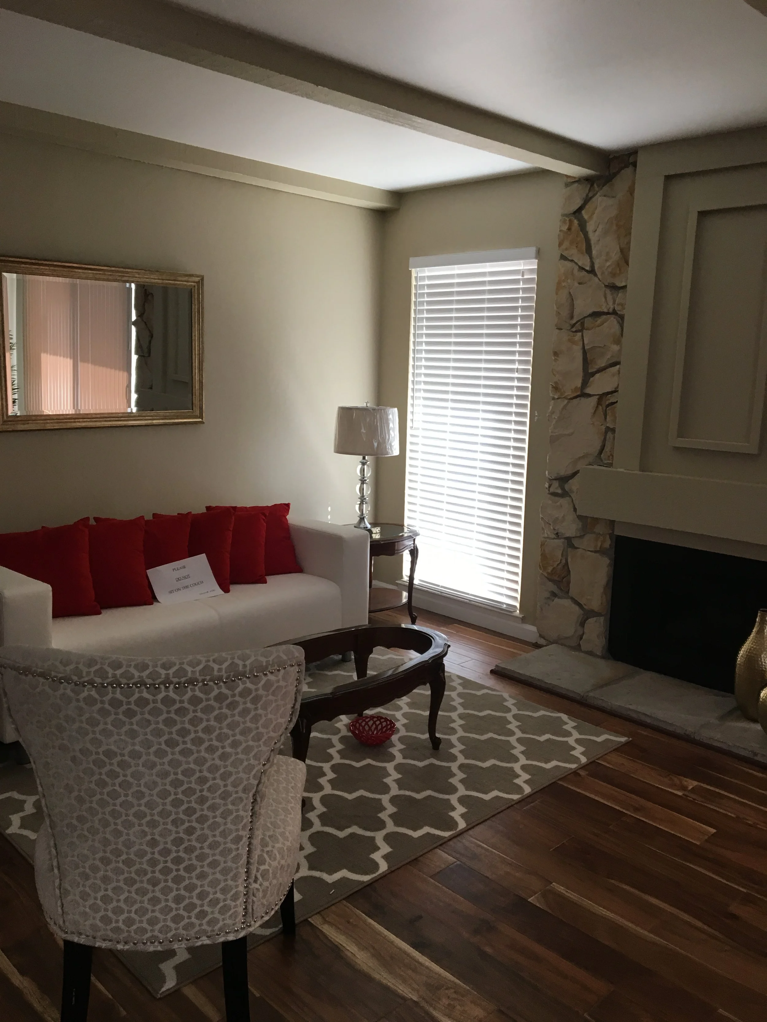 Z8 Construction VF Living Room Fireplace.JPG