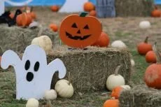 Spooktacular Fiesta