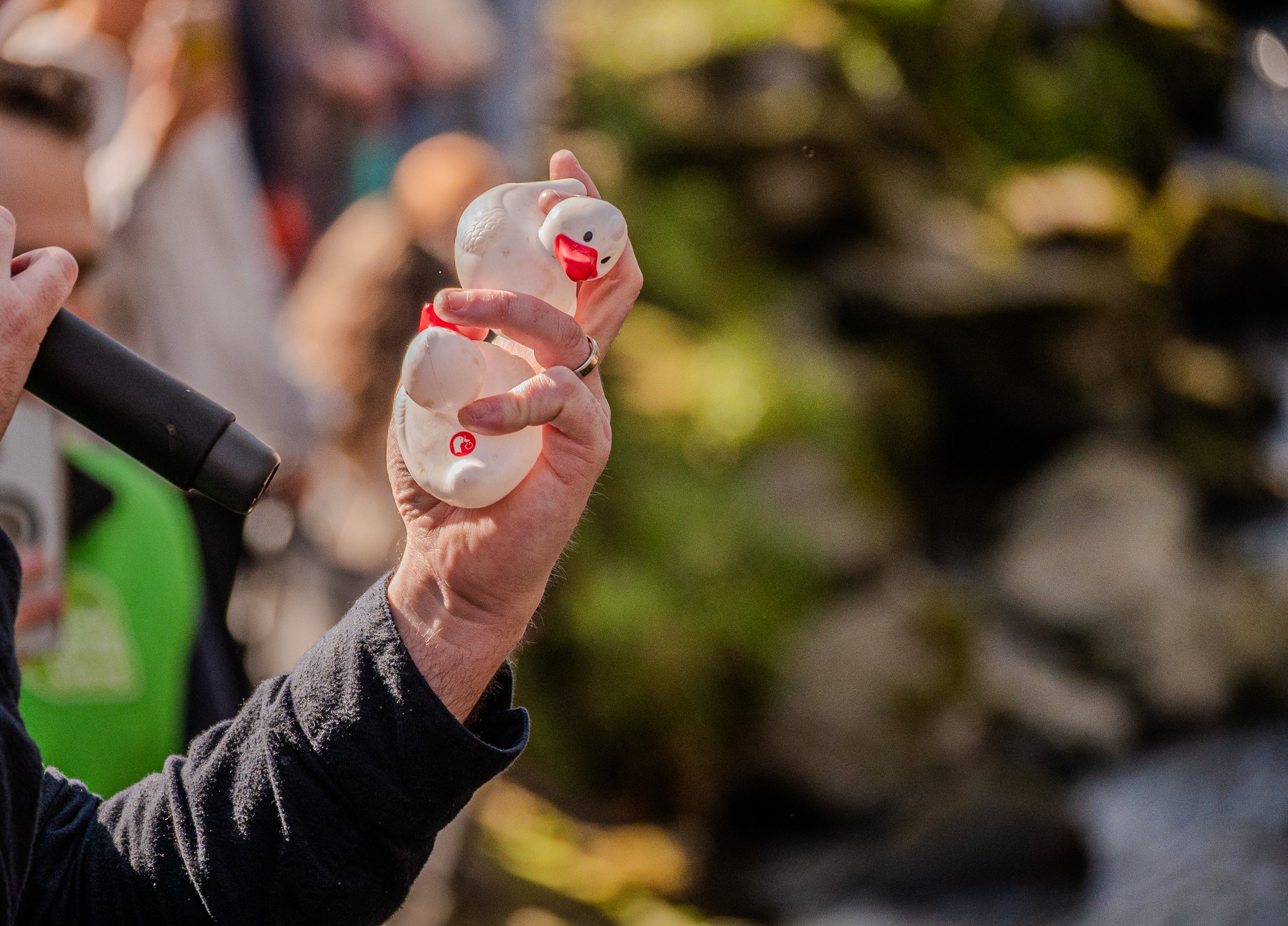 Photographer based in Killarney, Videographer based in Killarney. Cheap photographer in Killarney. Videographer in Killarney. Videographer for events in killarney. Social media manaager in killarney. Graphic designer in killarney. Photographer for family.jpg