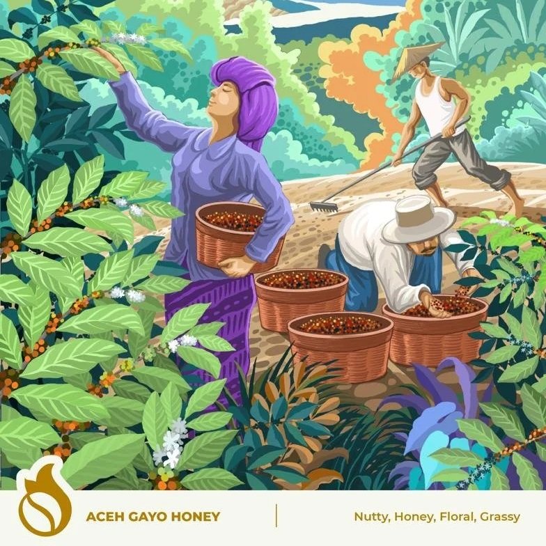 Aceh Gayo Honey 250gr