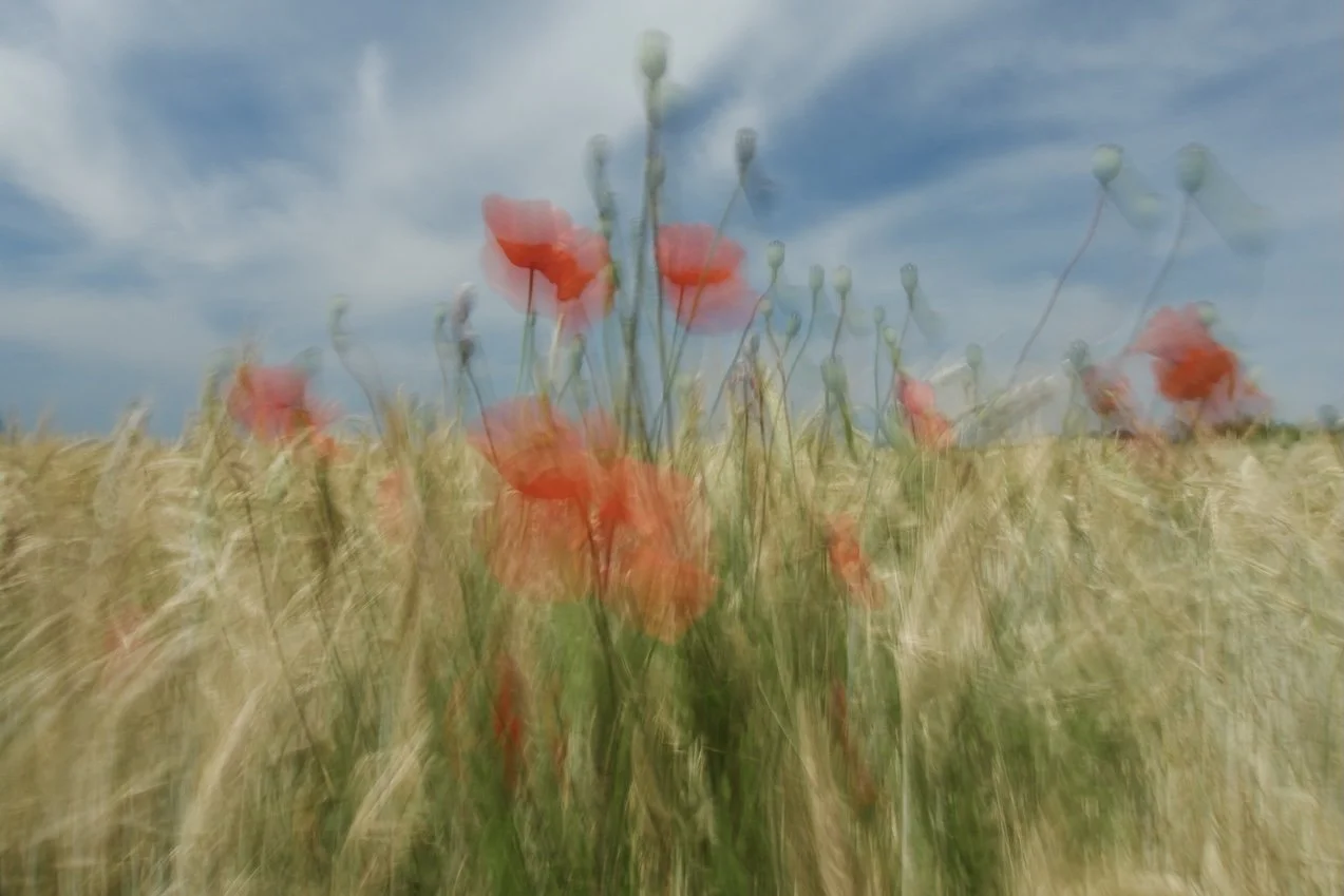 Blumen