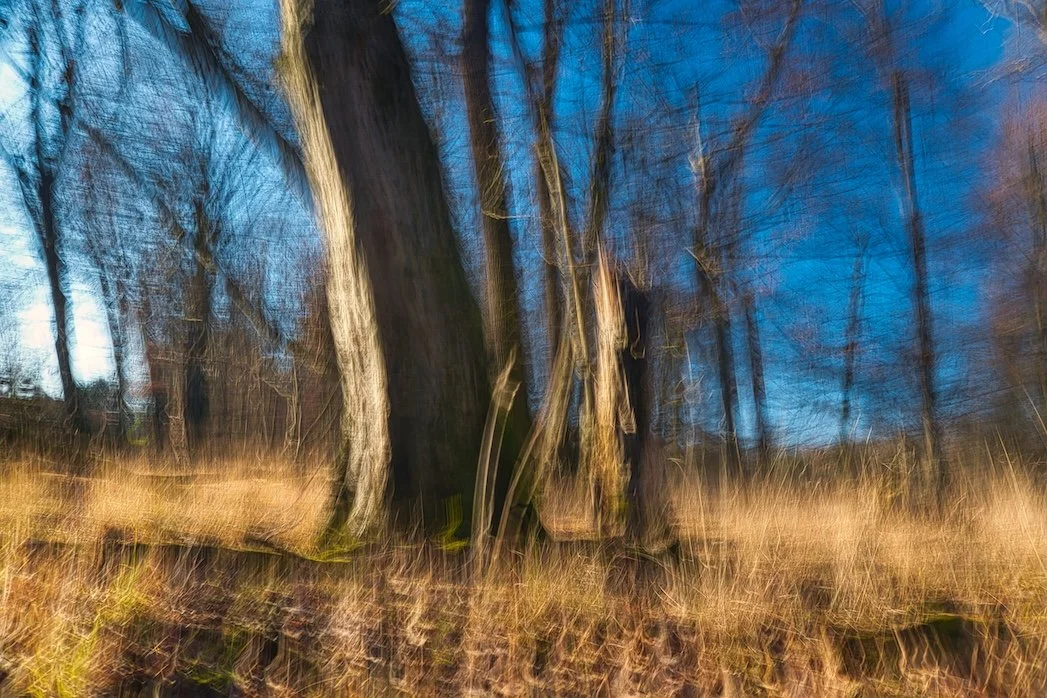 _DSC4830 Kopie.JPEG