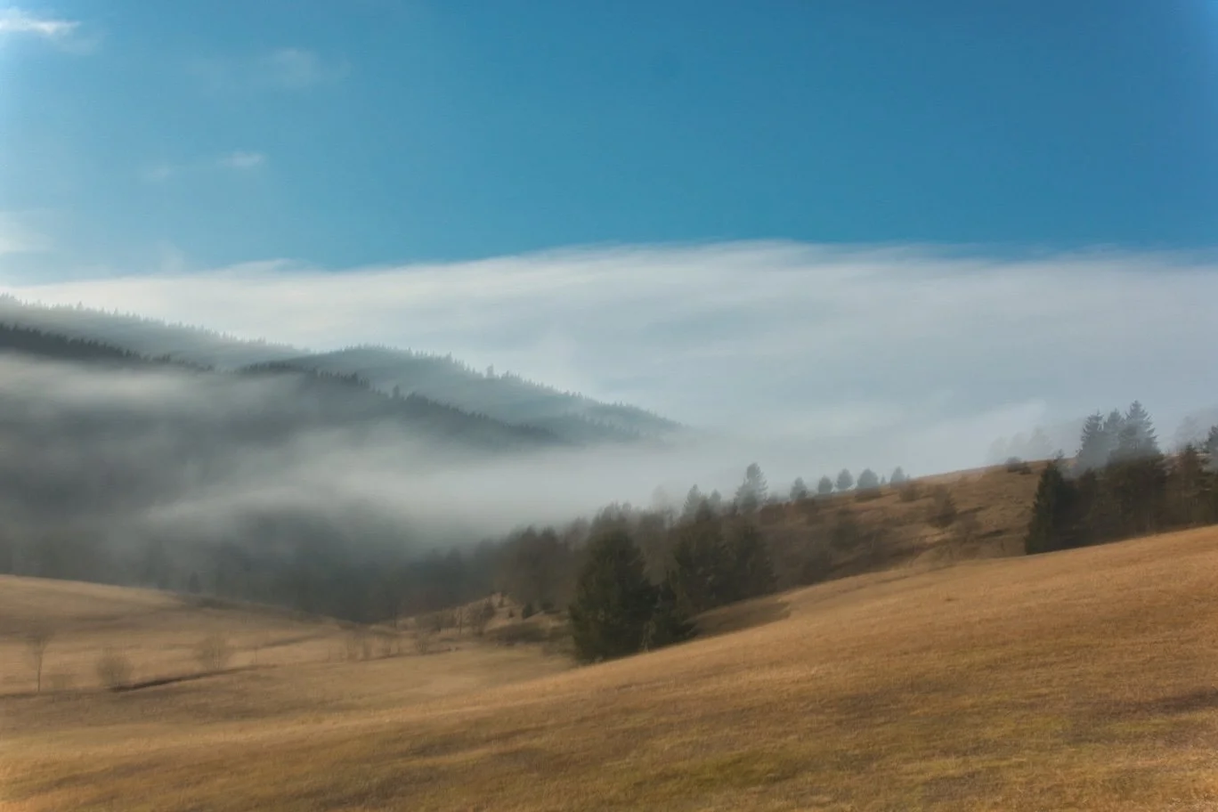 _DSC6213.jpeg