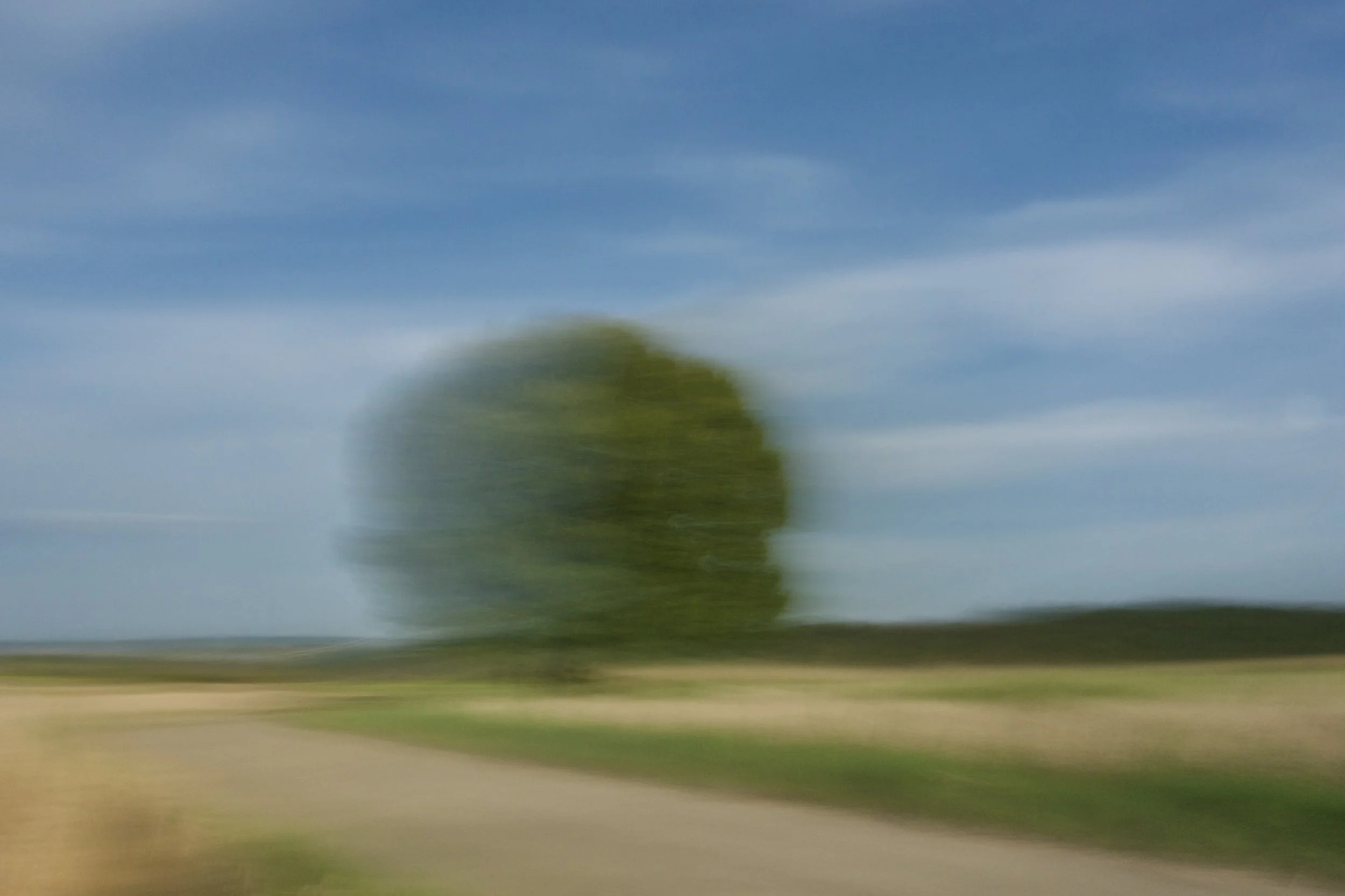 _DSC4176.jpeg