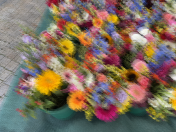 IMG_1828 Kopie.PNG