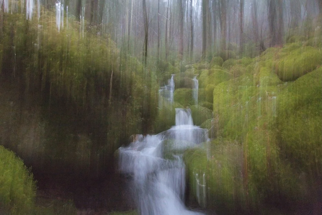 _DSC6331.jpeg