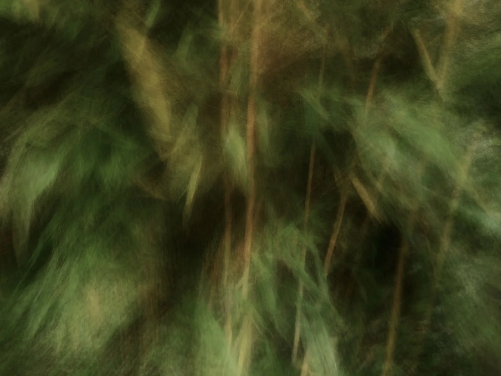 Snapseed 2.jpg