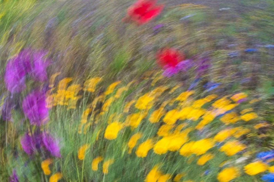 _DSC3836.jpeg