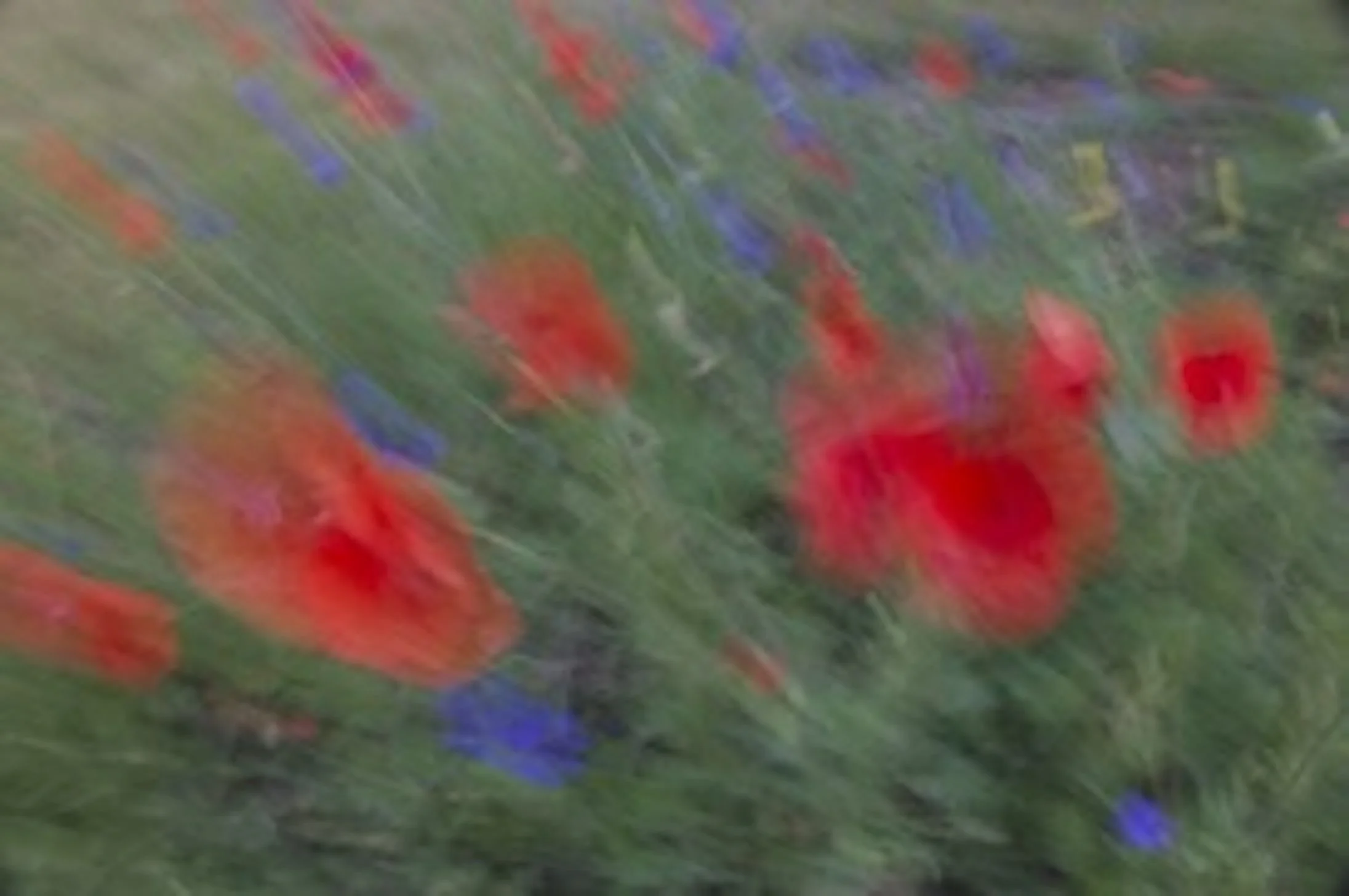 _DSC2563 Kopie 2.jpg