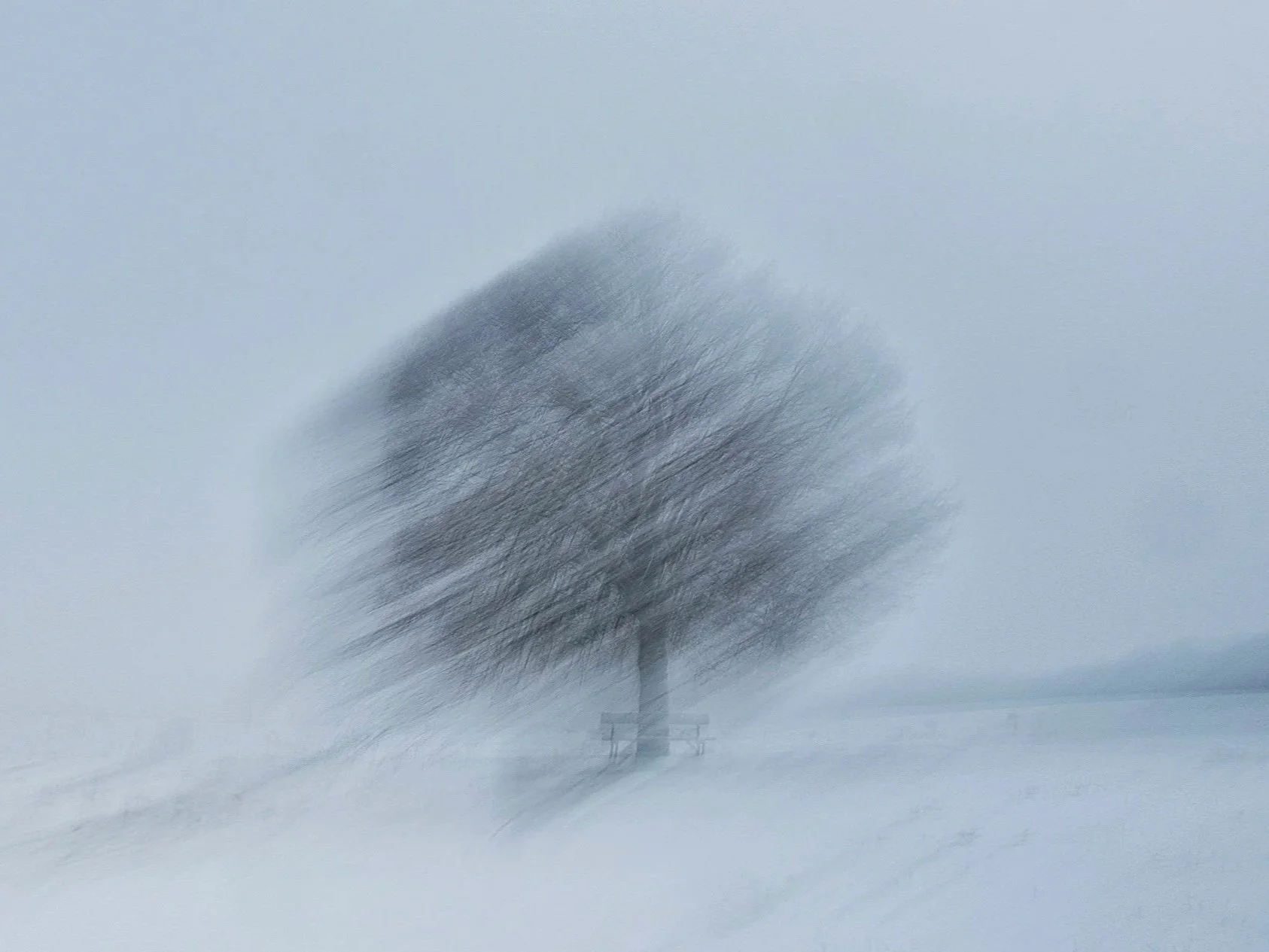 Ein einzelner Baum inmitten eines schneebedeckten Feldes, umgeben von Nebel, mit einem schlichten Aussichtsturm im Hintergrund.