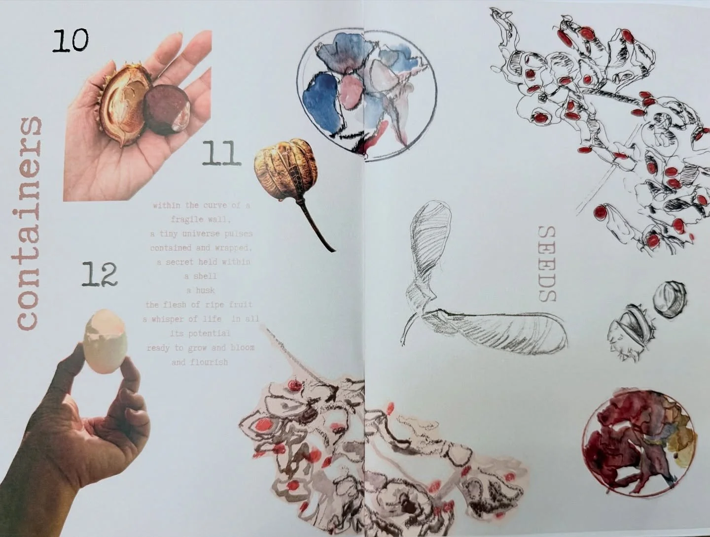 A sneak peek at a page from my 58 interrelated things zine - photos taken by myself with drawings from my sketch book. 

#artistzine #zines #artistzines