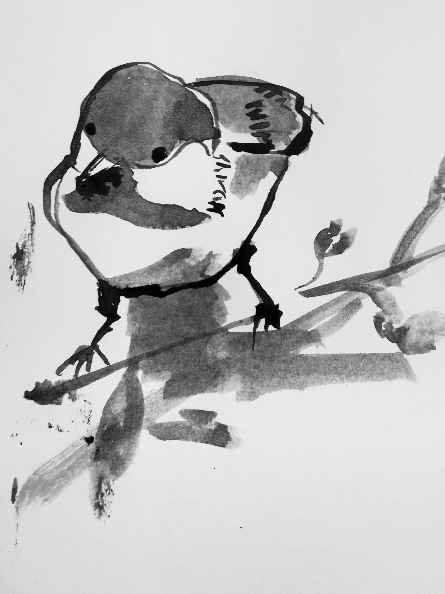 It&rsquo;s a little ink drawings of fat birds type of day. 

#inkpainting #drawingbirds #paintingbirds
