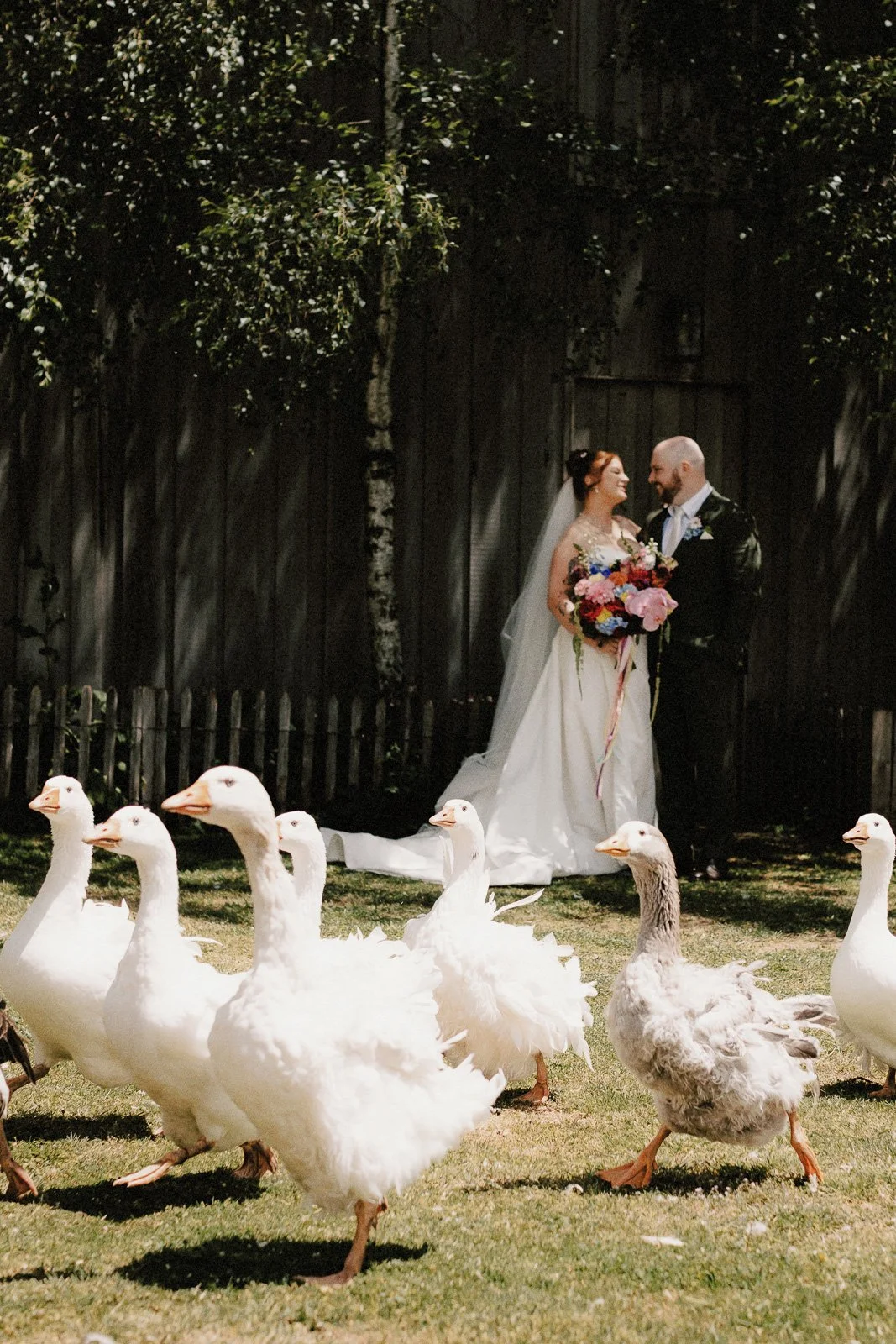 babbingtonpark_daylesford_elopement-56.jpg