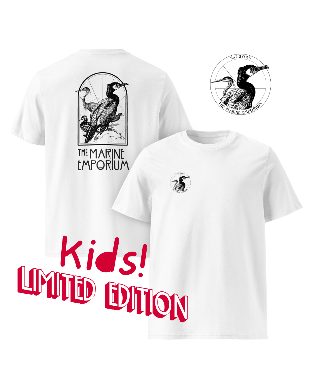 Your paragraph text (2).png