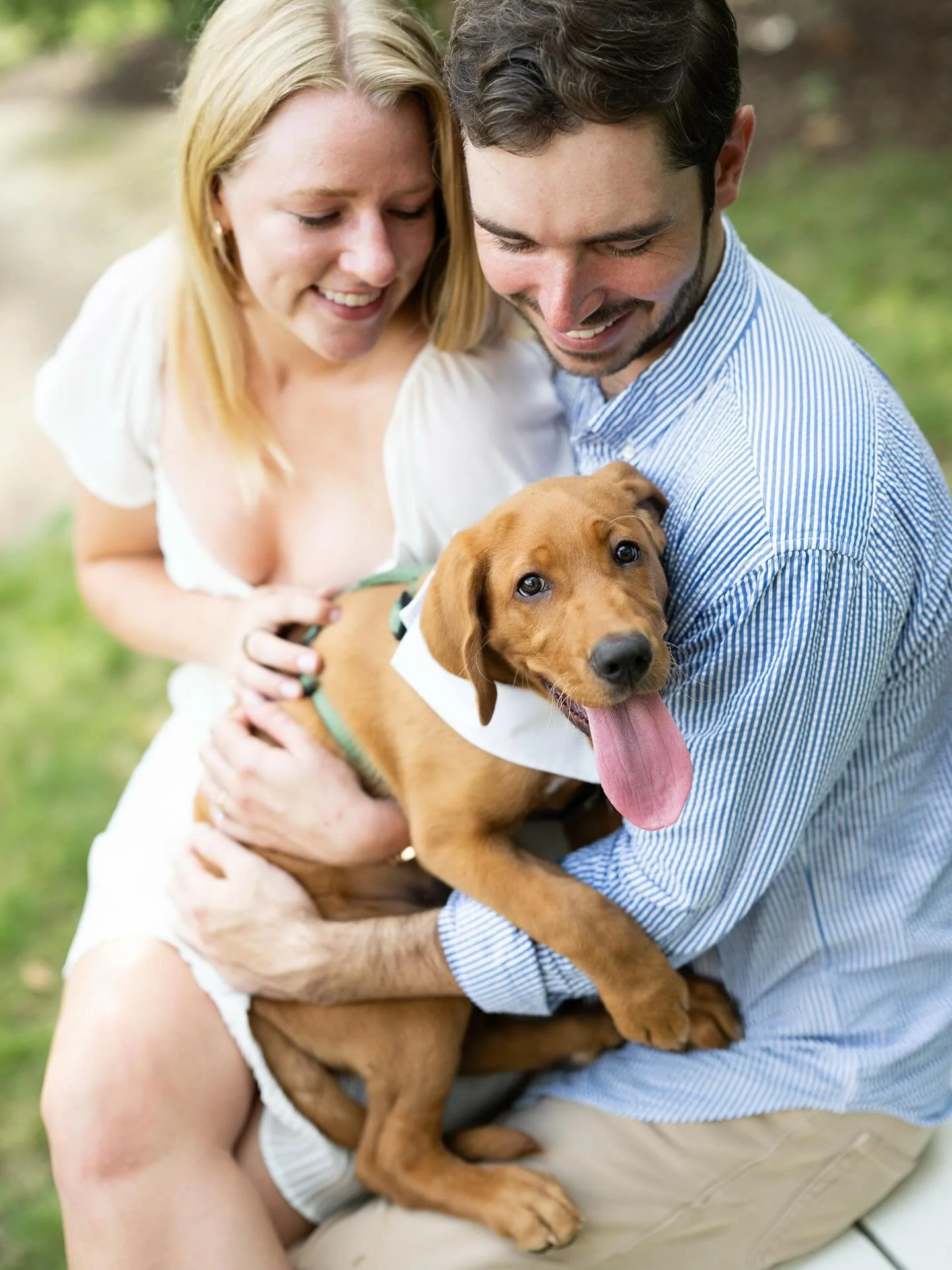 Tater&rsquo;s parents are getting married!!! So excited for Sam + Bryan! @kristin_ridge_events @keswickvineyards @uva  #engagementphotos #engagementpuppy